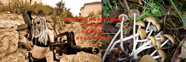 мяу мяу кристалл Аркадак