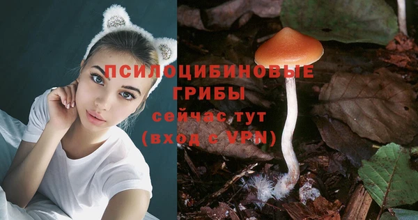 Альфа ПВП Арсеньев