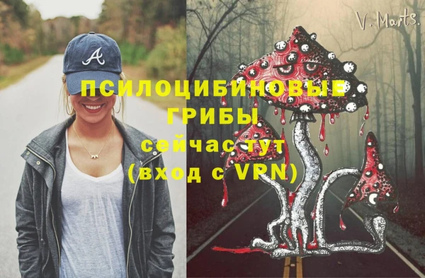 Альфа ПВП Арсеньев